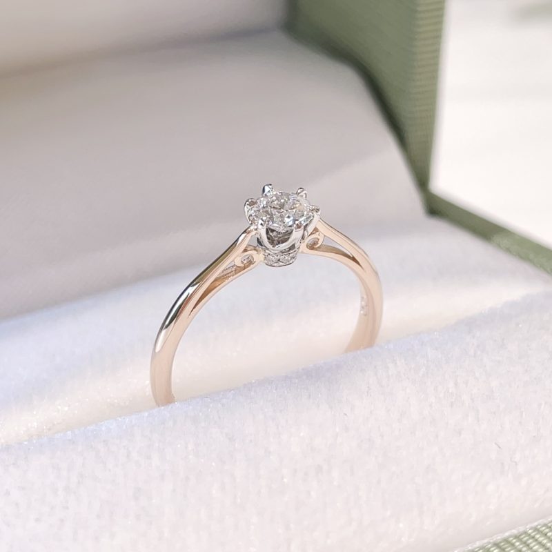 お客さまフォト2